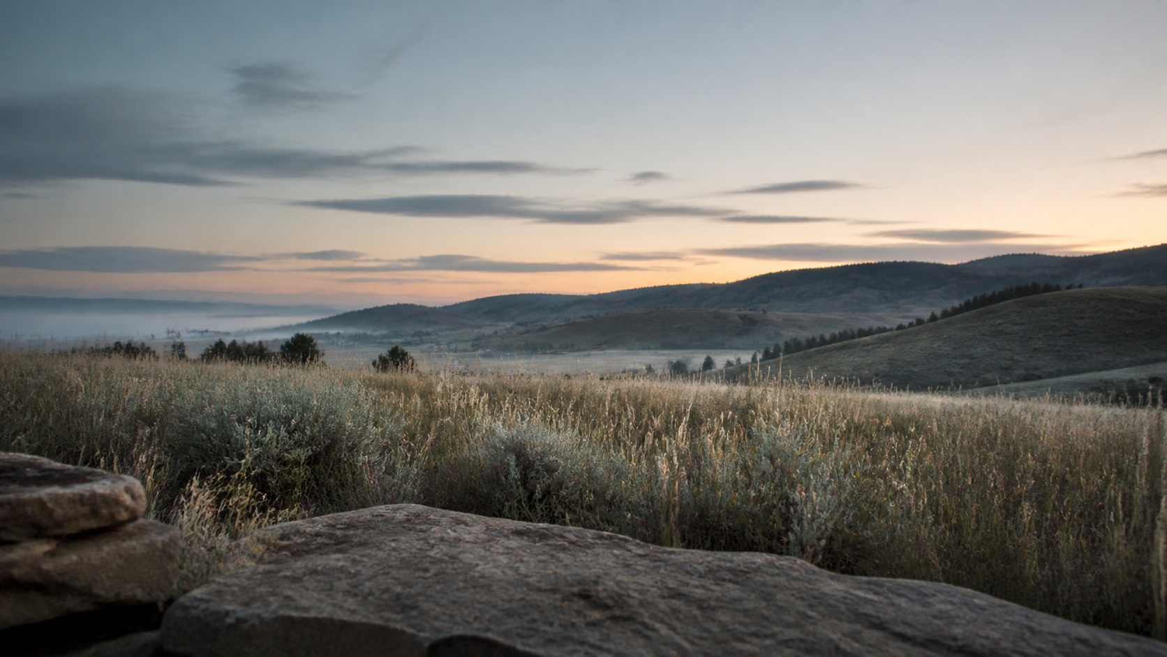 Open Colorado foothills and grasses in the quiet light before sunrise.